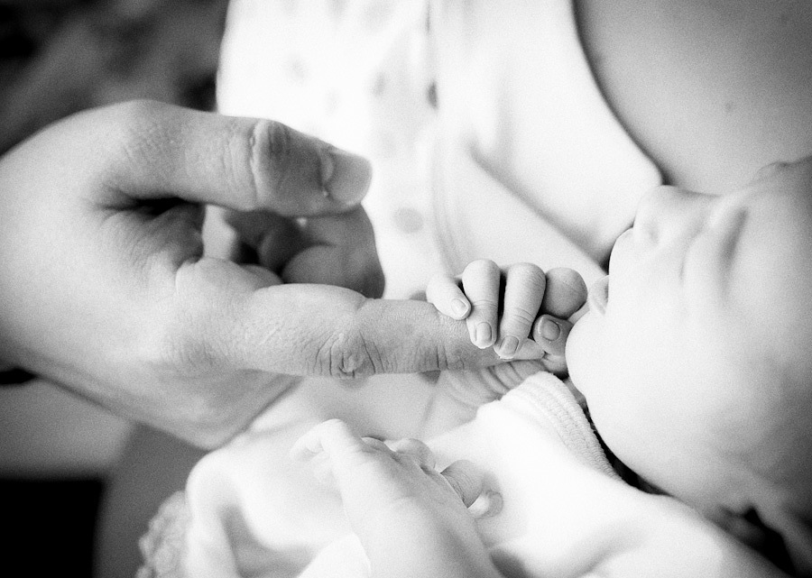 willfotografia-1