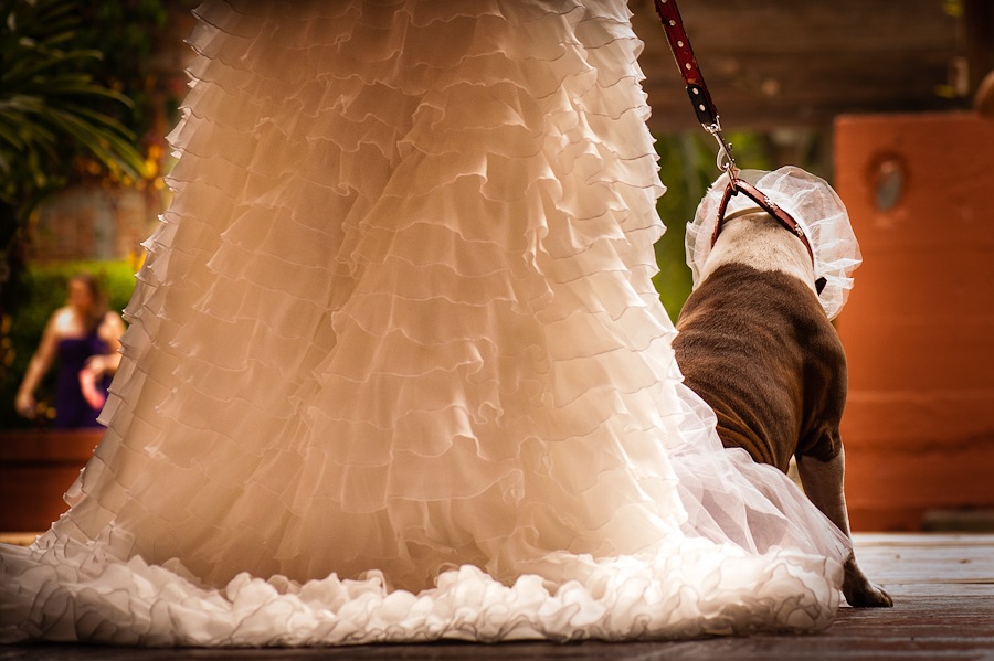 WillFotografia-Boda-Cali-Colombia019
