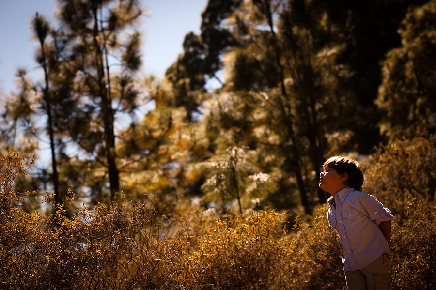willfotografia-SesiónFamilia-01