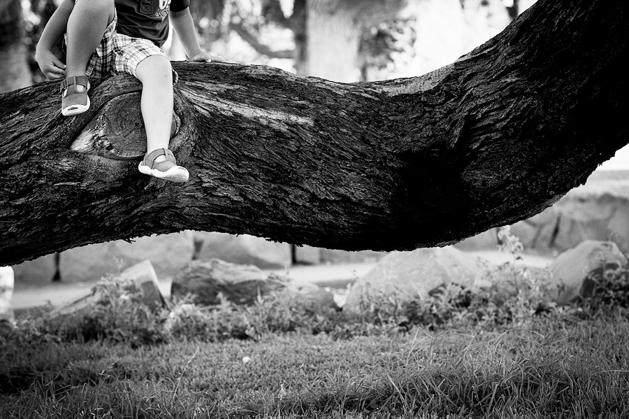 willfotografia-SesiónFamilia-26