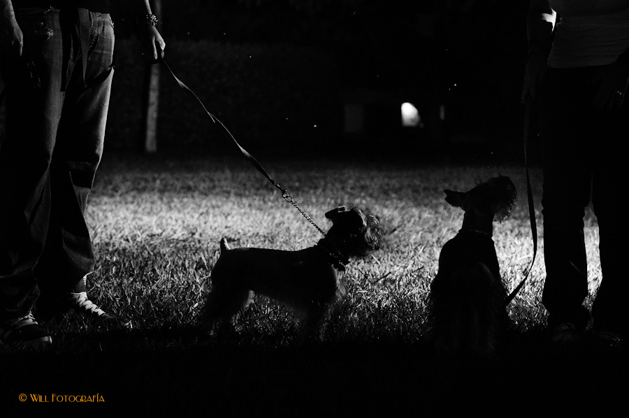 willfotografia-PrebodaX&SFlia.-12