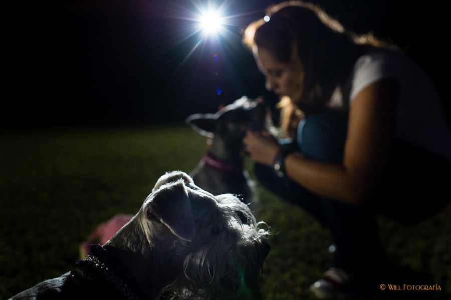 willfotografia-PrebodaX&SFlia.-19