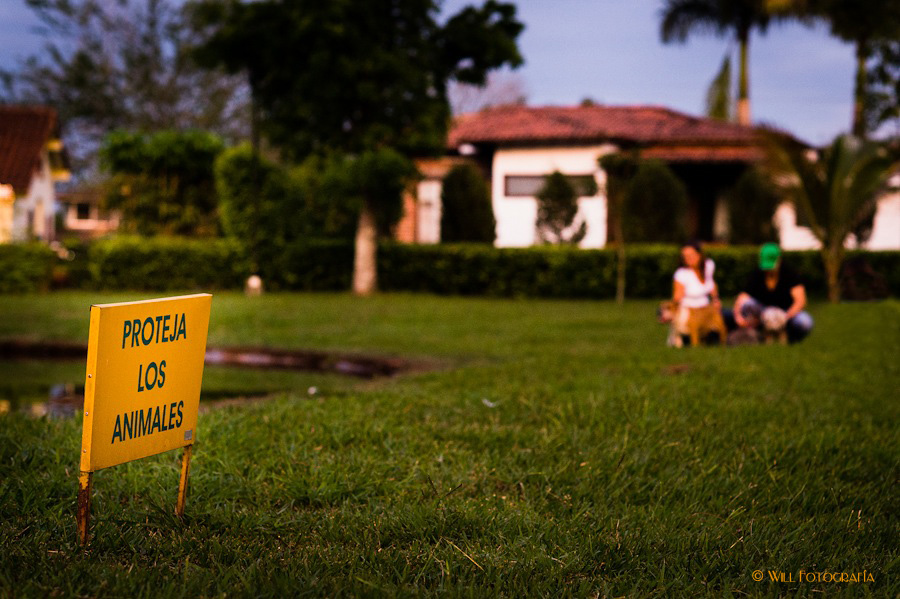 willfotografia-PrebodaX&SFlia.-9
